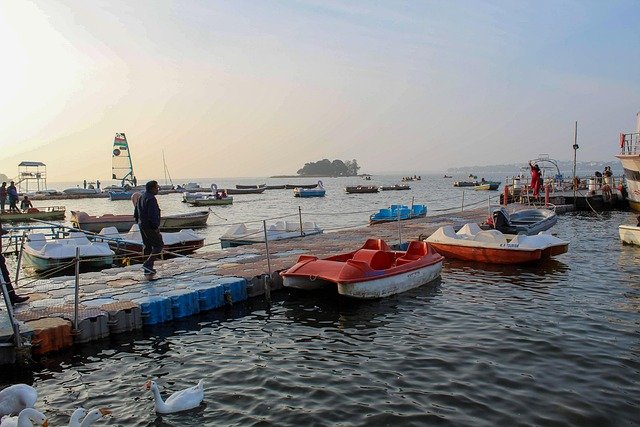 social unicorns bhopal